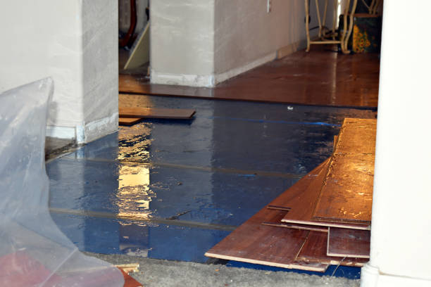 Professional Sewage Cleanup technician working in Webster, FL